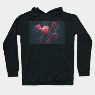 California poppies filtered Hoodie